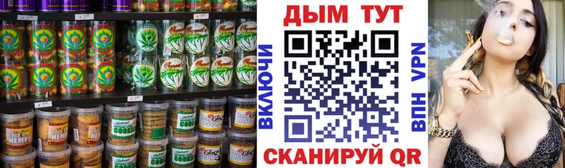 сколько стоит  MEGA зеркало  shop официальный сайт  Жуковский  Еда ТГК марихуана 