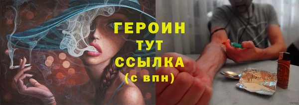 гашик Алексеевка