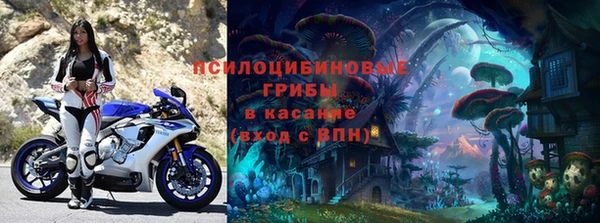 прущие крисы Алзамай