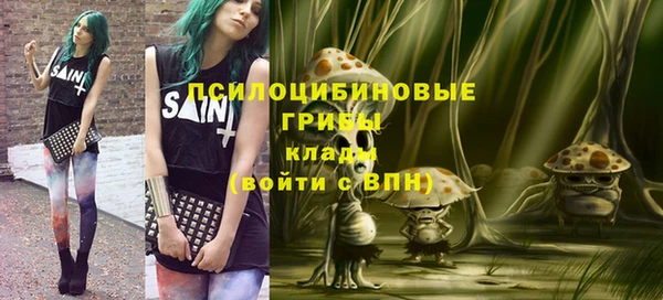 гашик Алексеевка