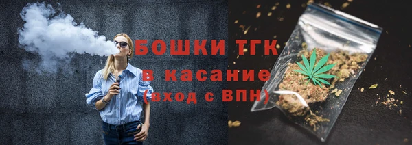 гашик Алексеевка